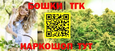 крисы Будённовск