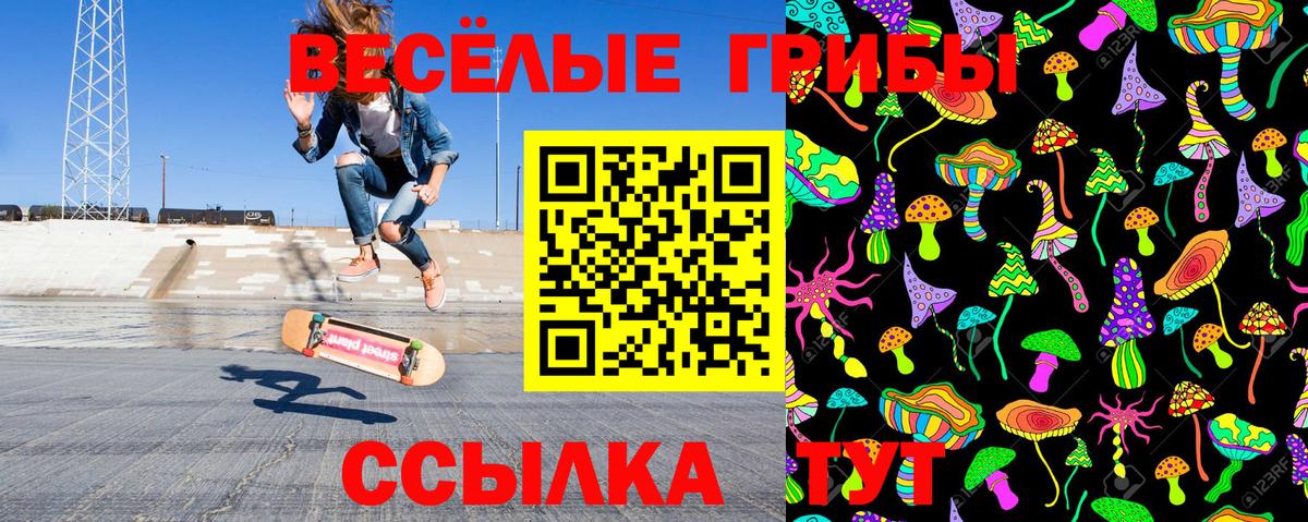 Нальчик  Псилоцибиновые грибы прущие грибы  Вход с VPN 